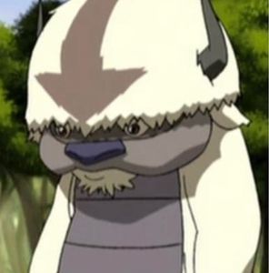 Meet your Posher, Hailey